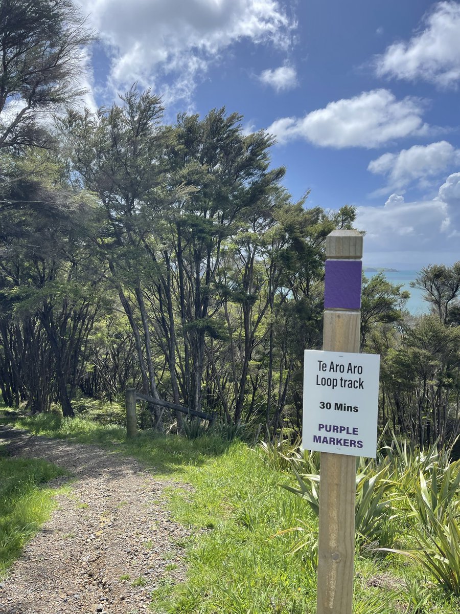 lau_simona's tweet image. Since I’ve got some coverage, check this random track out!👌🏽🤩🤩🤩 #OutOut #sundayvibes