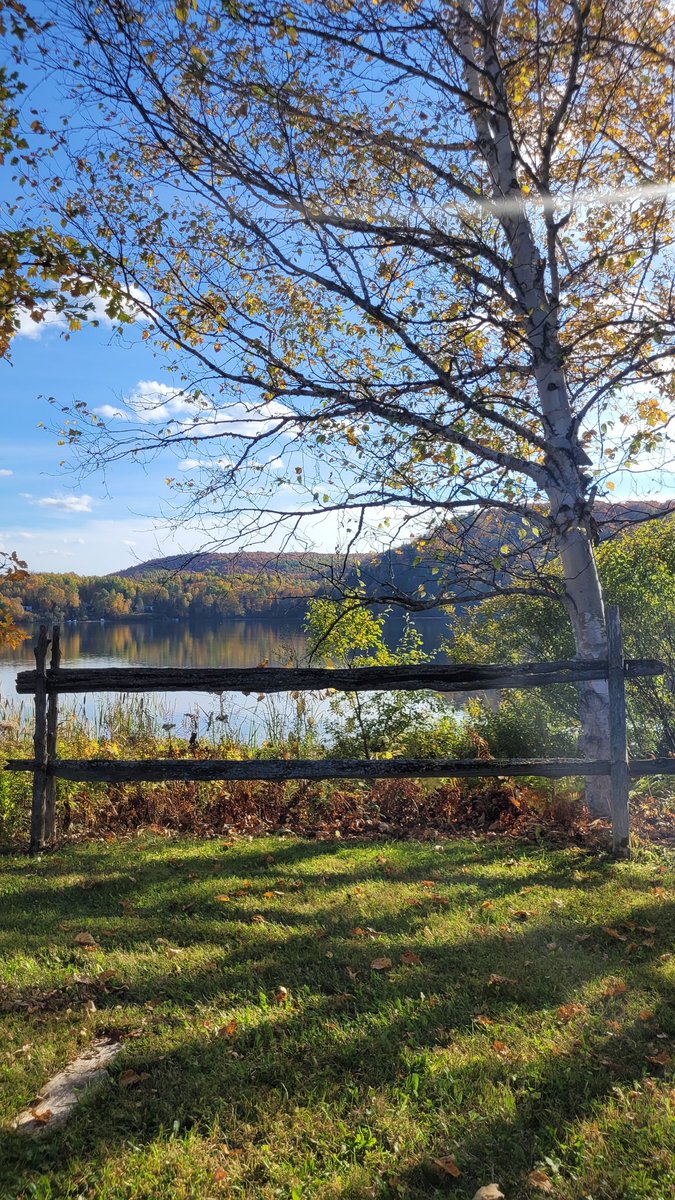 Vive les Laurentides 🤟💝