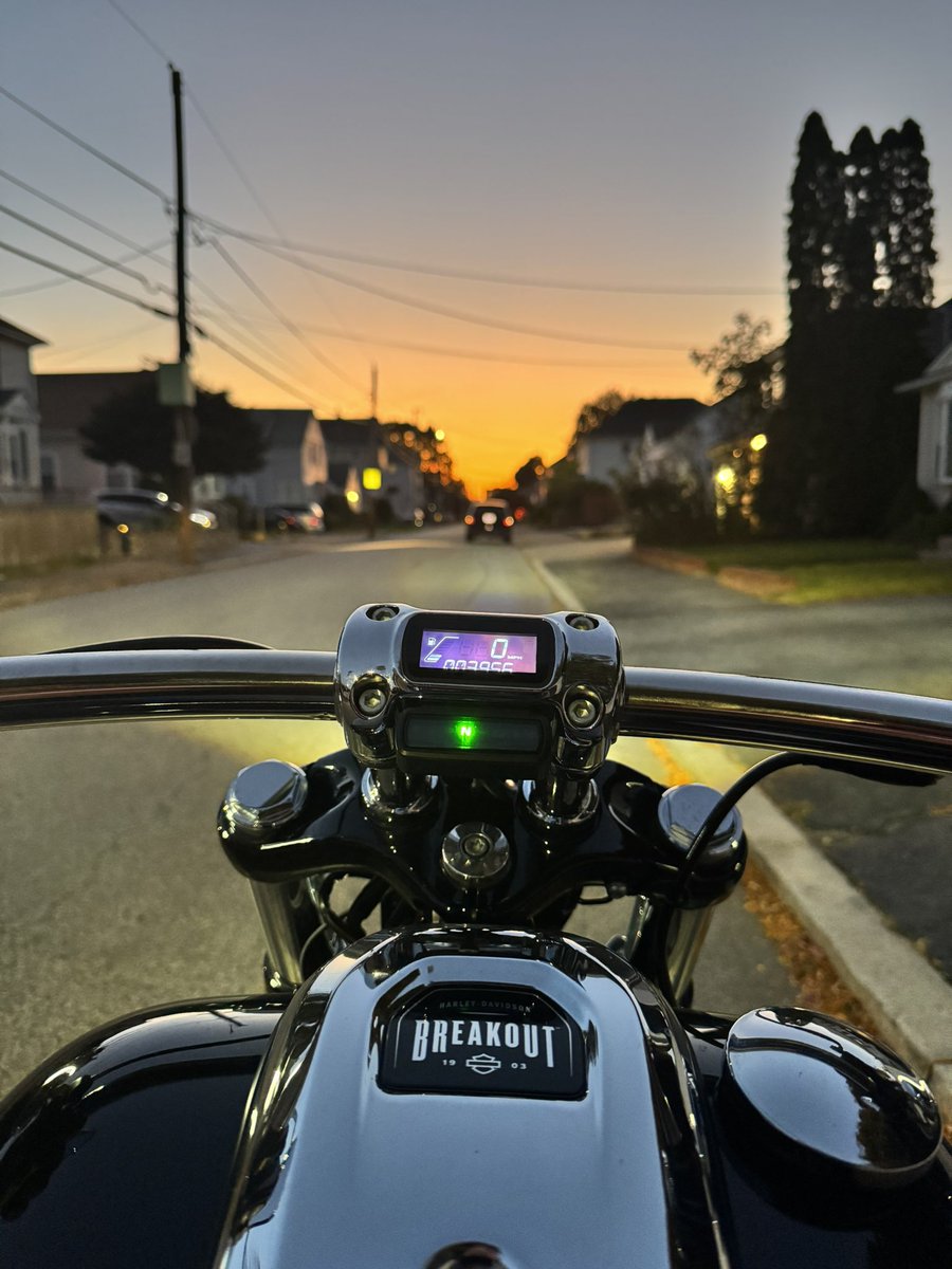 Lava Dog tweet media