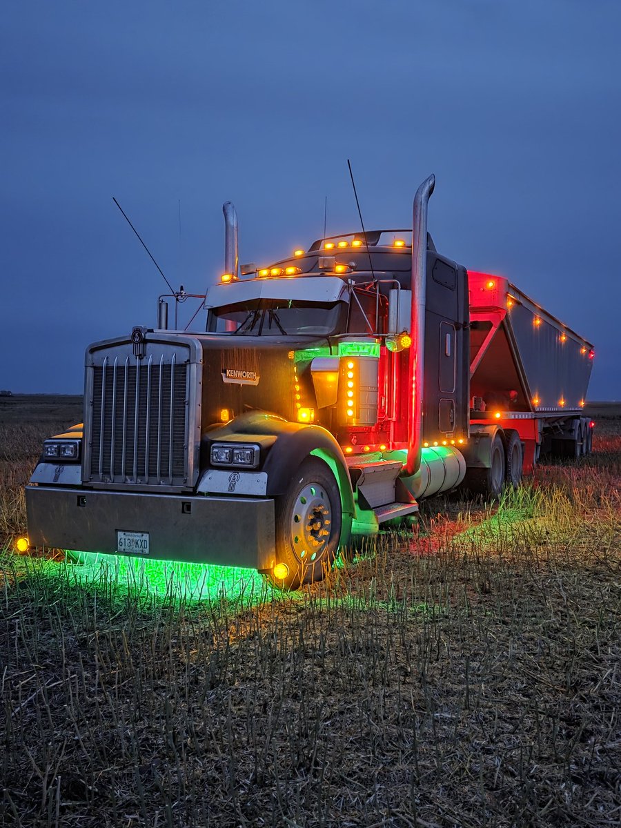 Poor ol girl needs a bath!