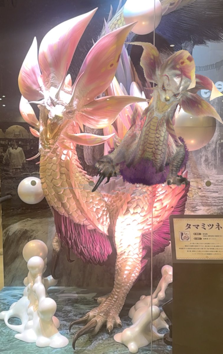 やっとタマミツネに会えました

近くにいた仲間を背中にのせてみた🤭