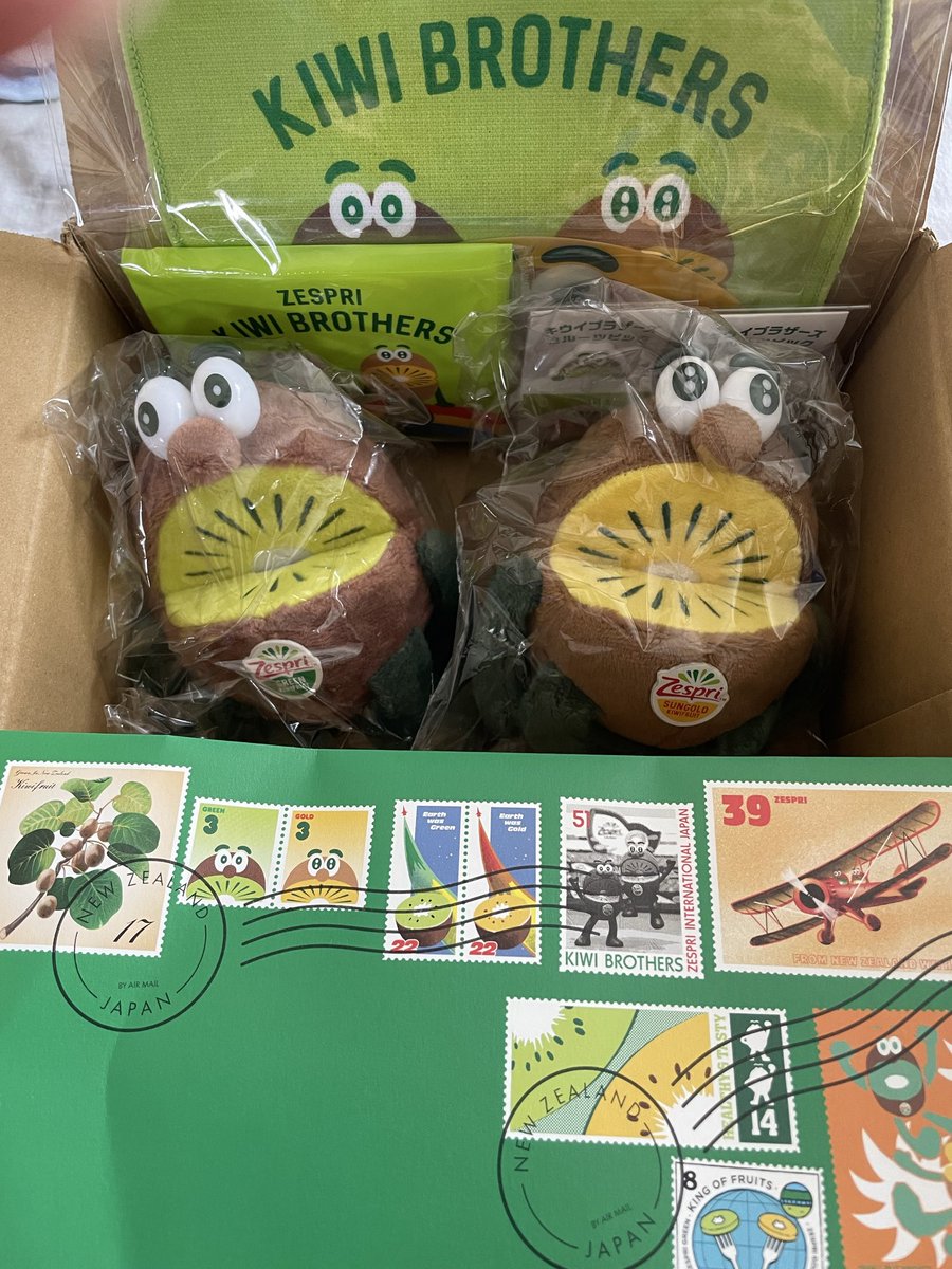 キュウイブラザーズ アゲリシャスなキウイブラザーズのフィギュアがやって来た