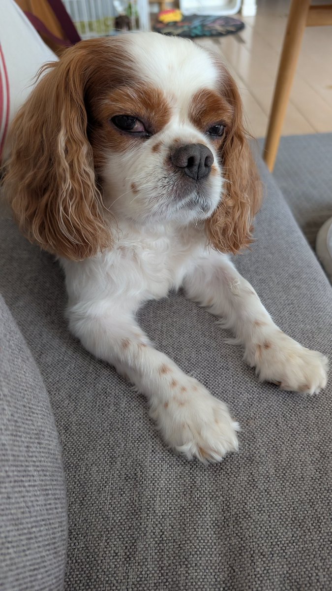 Chiharu (@chiharu_0904) / Posts / X