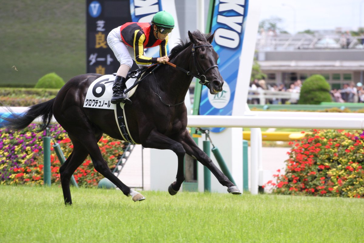 awardee777's tweet image. 🇯🇵クロワデュノール、良い結果もだけど何より無事に帰って来てね🏇
#凱旋門賞　#クロワデュノール　#キタサンブラック産駒