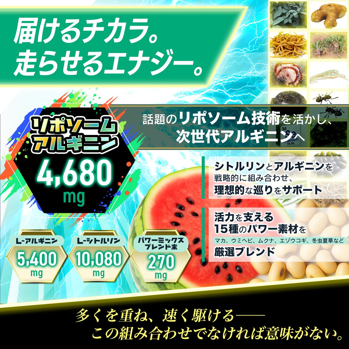 SMENS_japan's tweet photo. 「ガチを超えろ 強いのは私!!」
サプリメンズの新作サプリ『雷鳴の支配者 アル・ギ・ニーン』がリリースされました。
シト・ル・リーンを姉に持つサプリメンズのNEWフェイスが誕生!
雷鳴と共に目覚めた新たな支配者の宣戦布告。
それが『雷鳴の支配者 アル・ギ・ニーン』
リポソーム化技術によって包まれたアルギニンは「長く」「強く」効果が期待でき、シトルリとの掛け合わせで相乗効果間違いなし!
発売を記念して、今月いっぱい割引セールを行っています。
👇割引ページはこちら👇
https://t.co/RR1GuHrIvk
#アルギニン
#リポソーム
#リリース記念特別割引