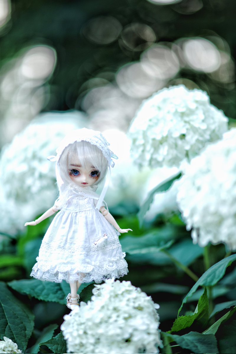 yuranii's tweet image. #ハルモニアブルーム #harmoniabloom 
#これぞ野撮と断言するドール画像を見せて下さい