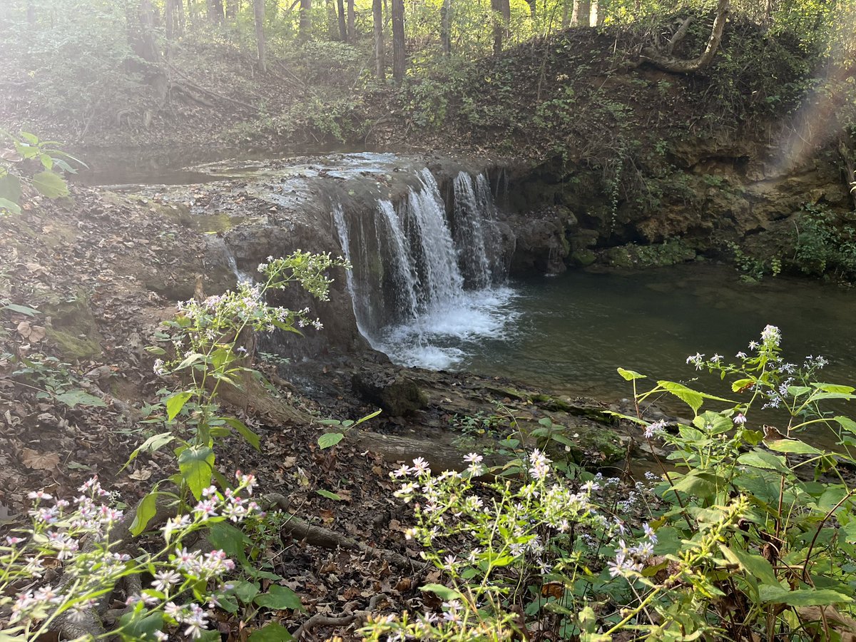 Bill Hartley tweet media