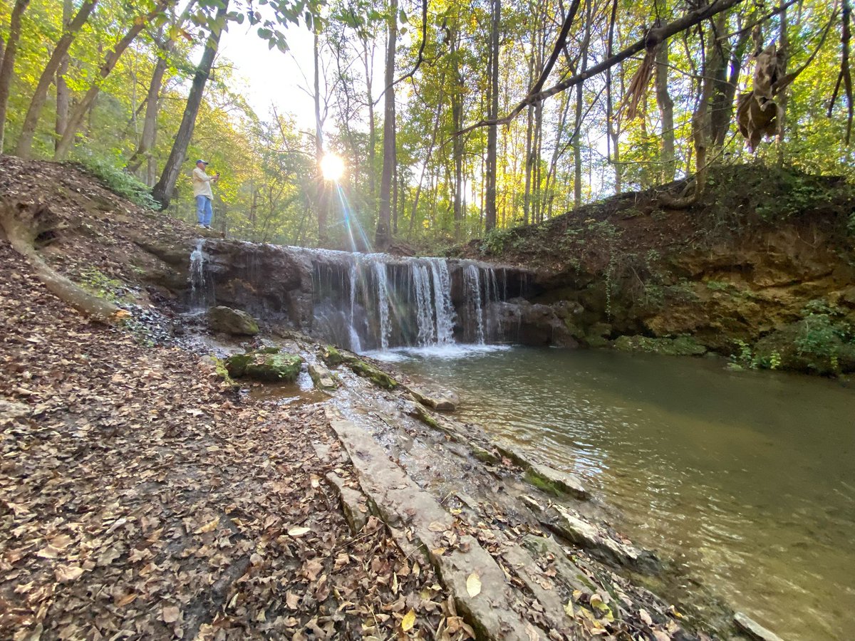 Bill Hartley tweet media