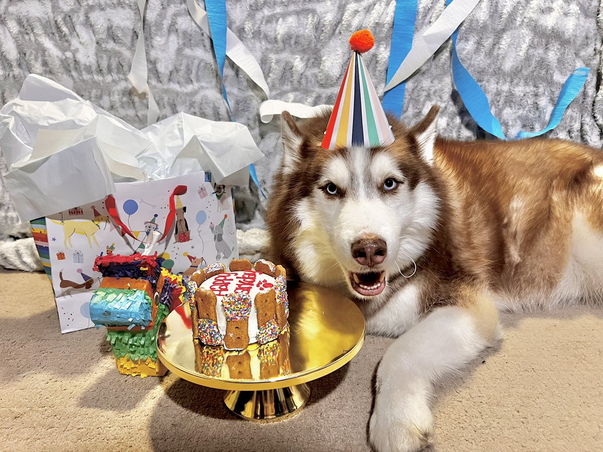 xokiramitx's tweet image. mi gordo is 7 ♥️