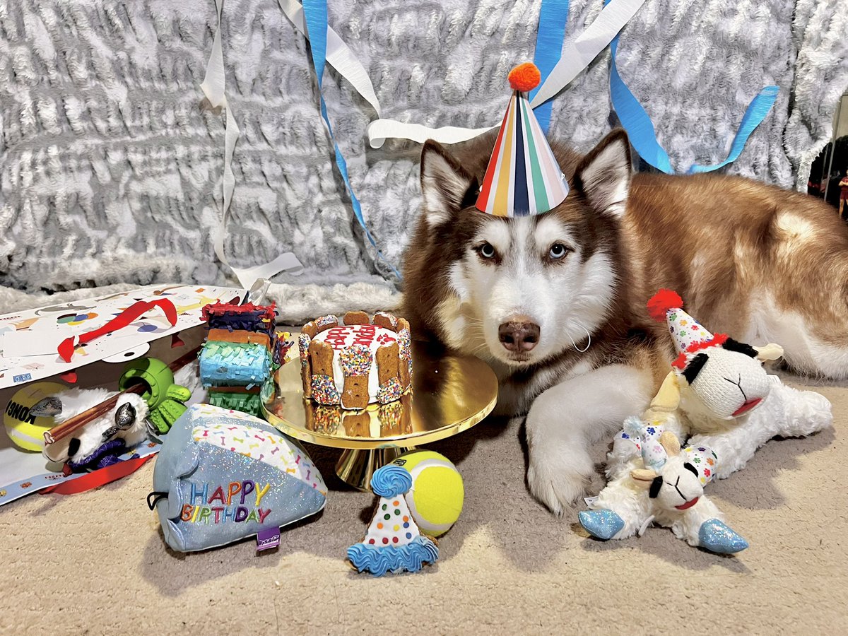 xokiramitx's tweet image. mi gordo is 7 ♥️