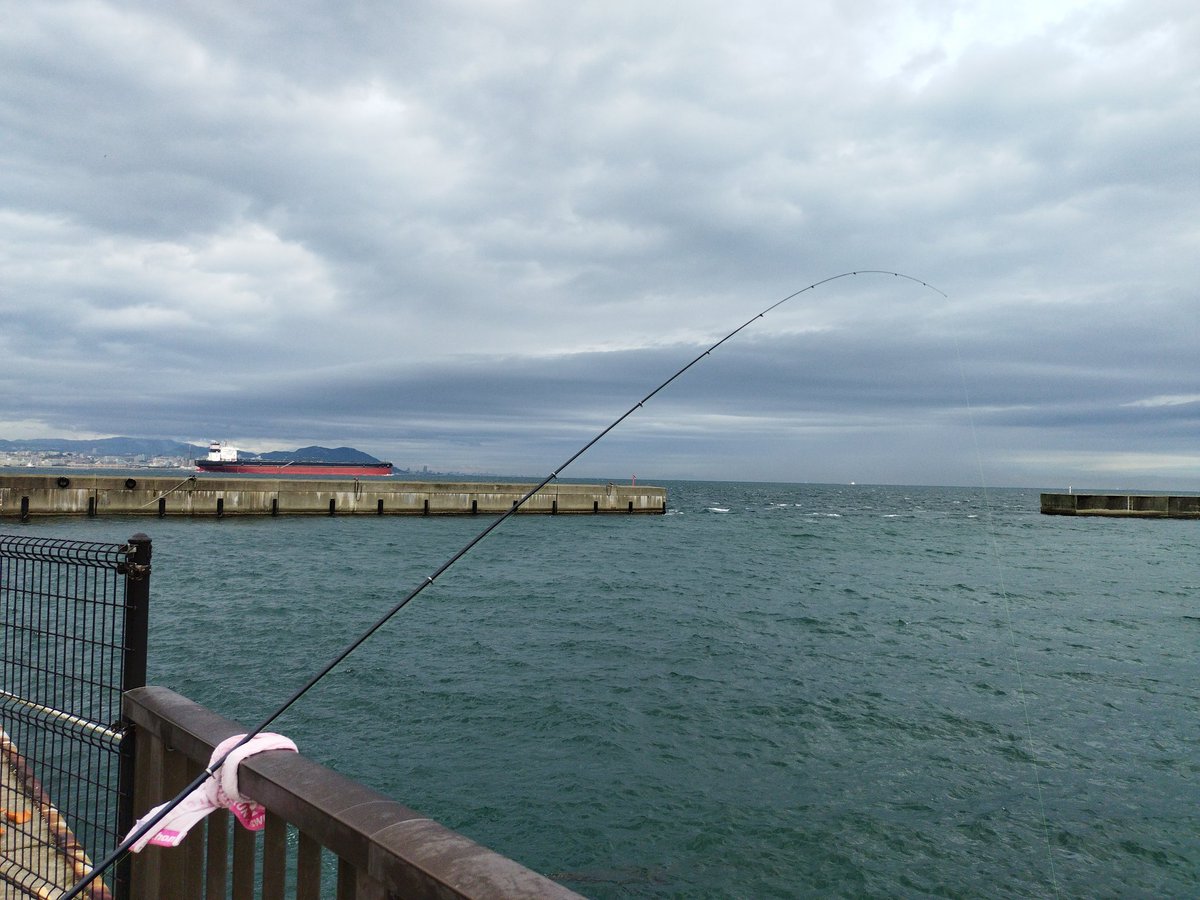 grasskobe's tweet photo. 雨風の予報ですが、カッパ着てスズキ狙い、エビ撒き釣り🎣向い風で釣り難い！潮も悪くミニチャリコだらけ、夕方に期待するも小アジだらけ！久しぶりの貧果、釣りは難しいです!#淡路島釣り#ヤフオク#エビ撒き釣り#ラルフ#アバクロ#グラスホッパー神戸 https://t.co/xXwVARtTSE