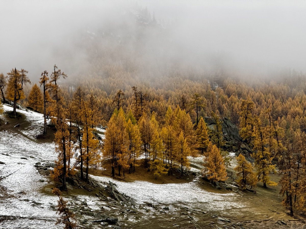 北京情侣交友00 tweet media