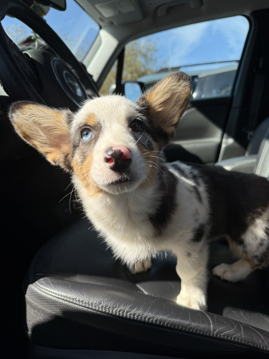 𝙅𝙚𝙖𝙣 tweet media