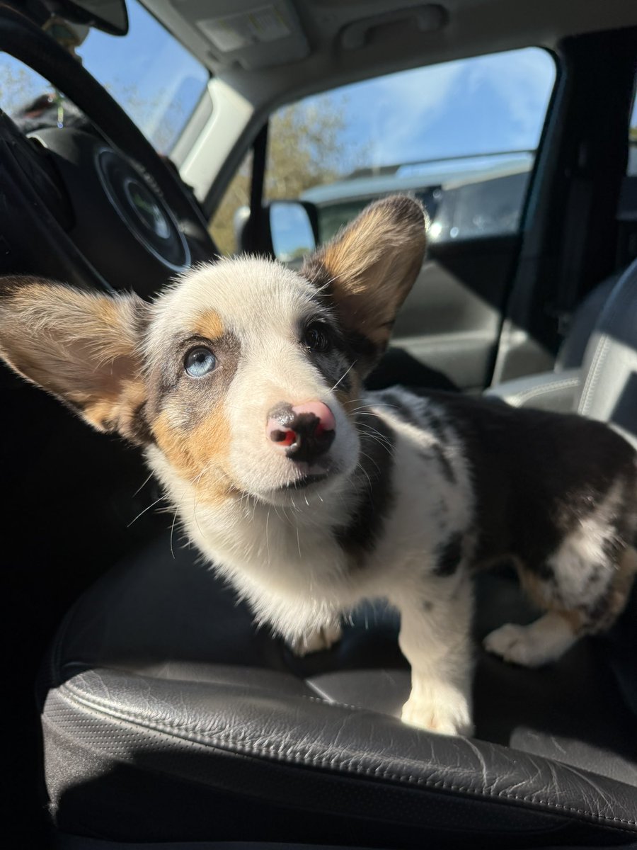 𝙅𝙚𝙖𝙣 tweet media