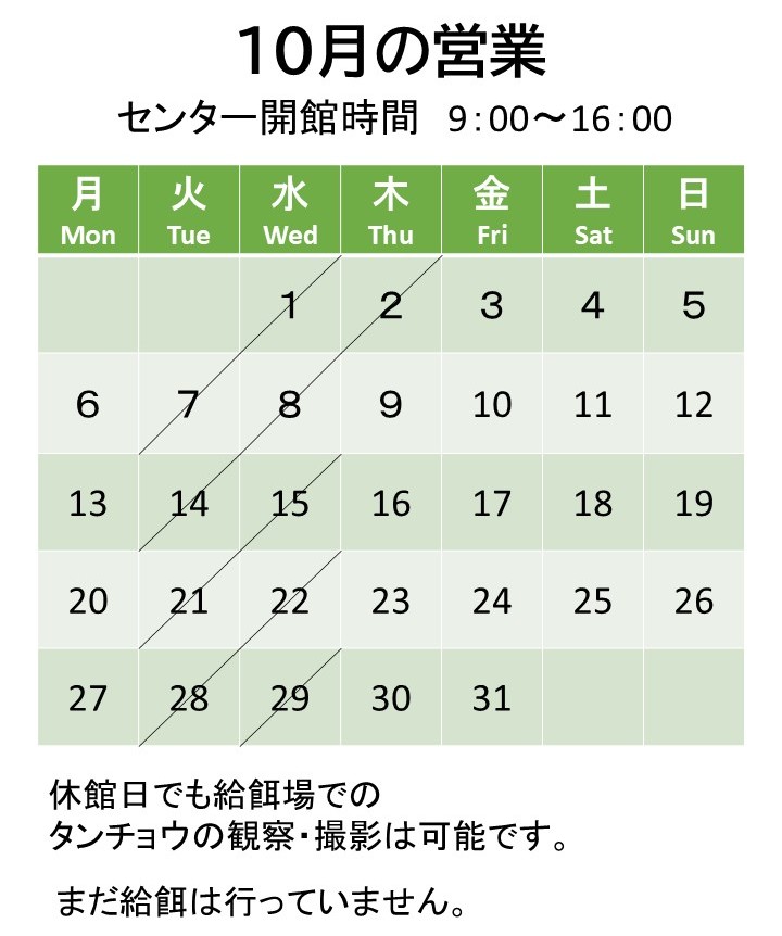 ネイチャーセンターは10月3日からオープンしました！
今シーズンもよろしくお願いいたします。今月の開館日のお知らせです。