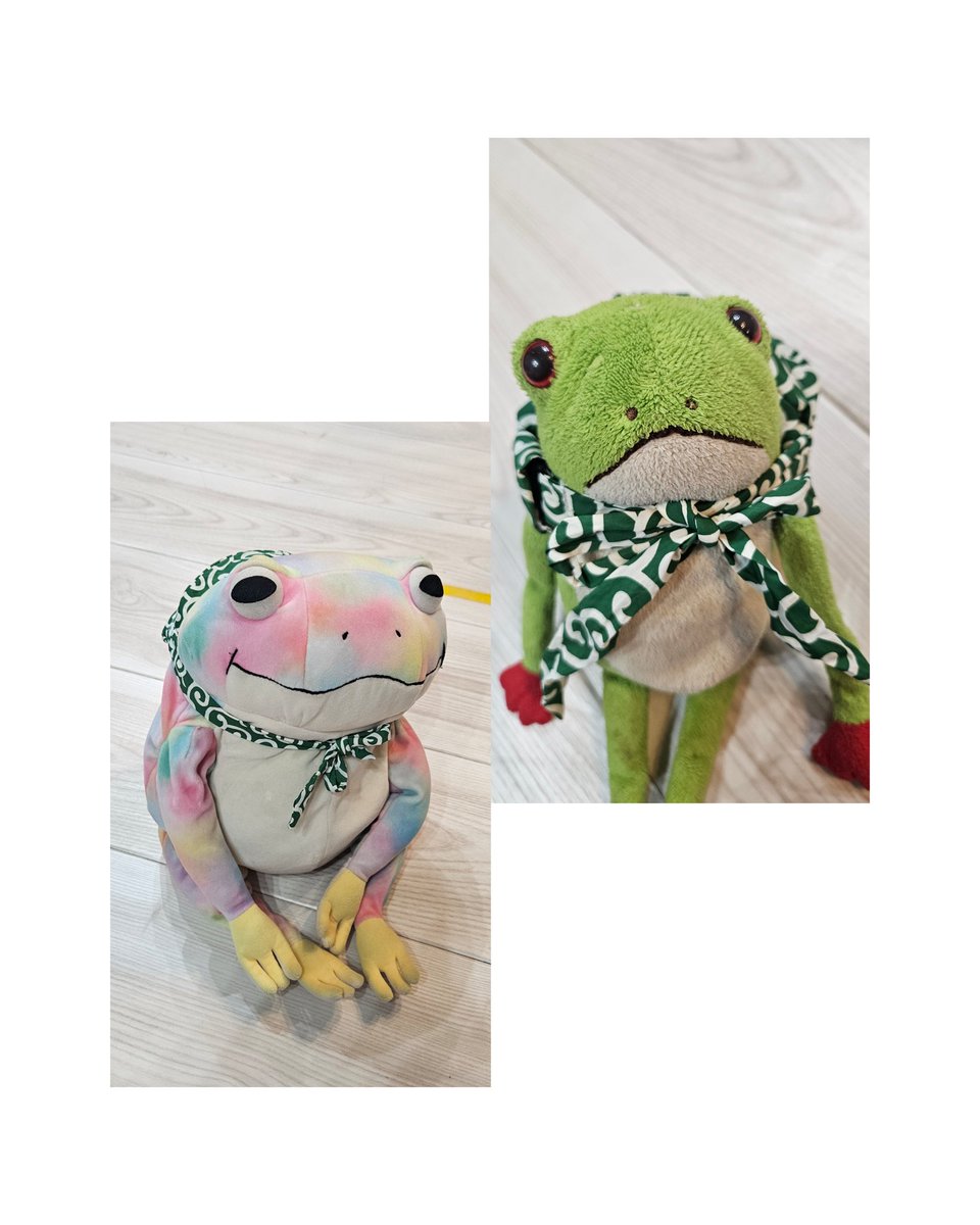 カエルのかっちゃん (@Yoshi_ko0508) / Posts / X