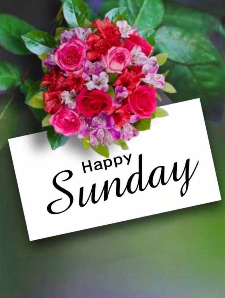 Good morning friends…
Have a nice day ❤️🙏
Eat more …Sleep more…Enjoy more