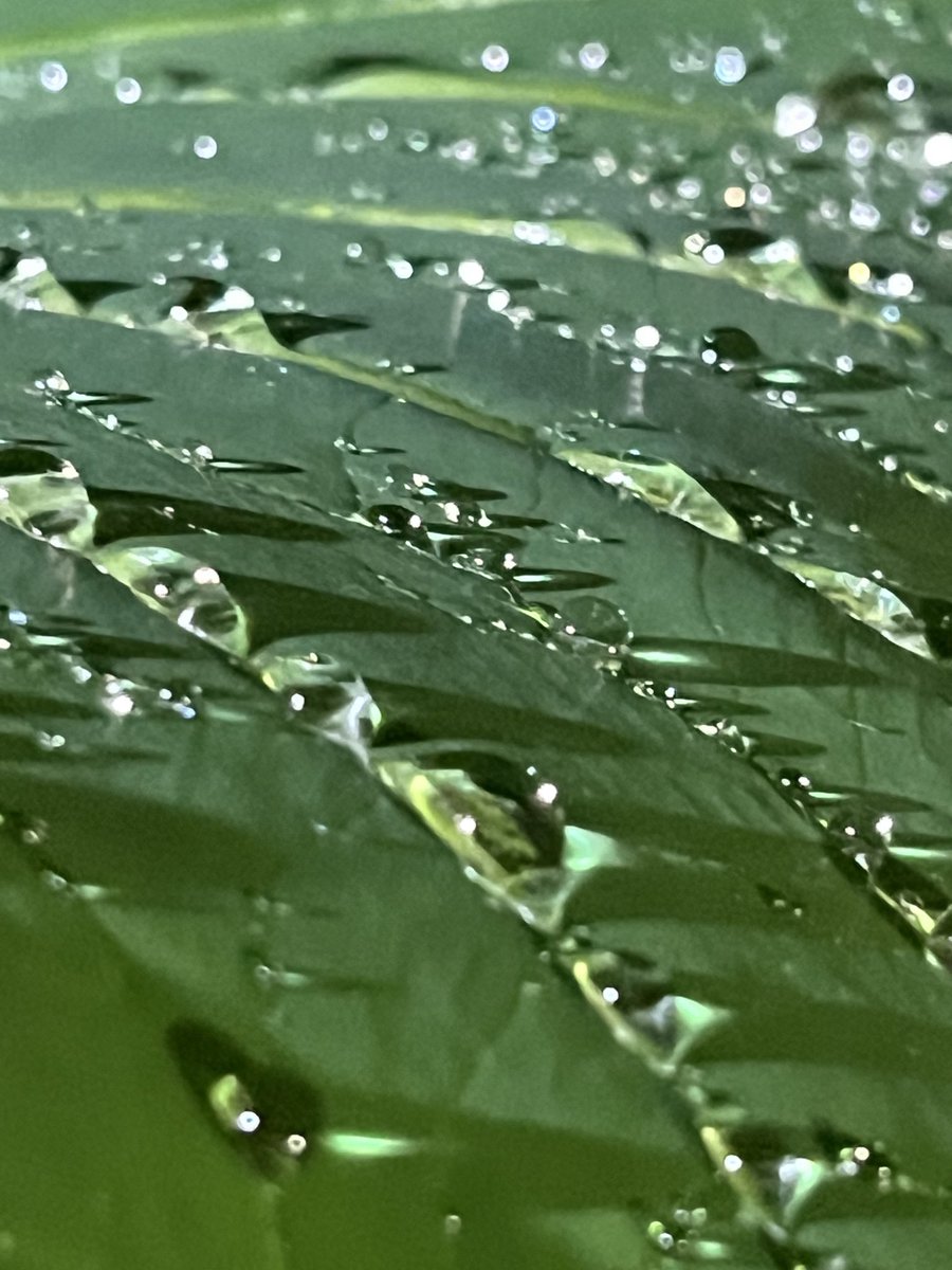 jm (@jalzatev) on Twitter photo 