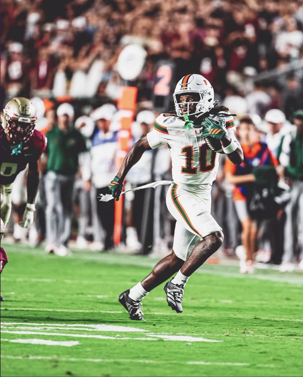 That Hawk in traffic❗