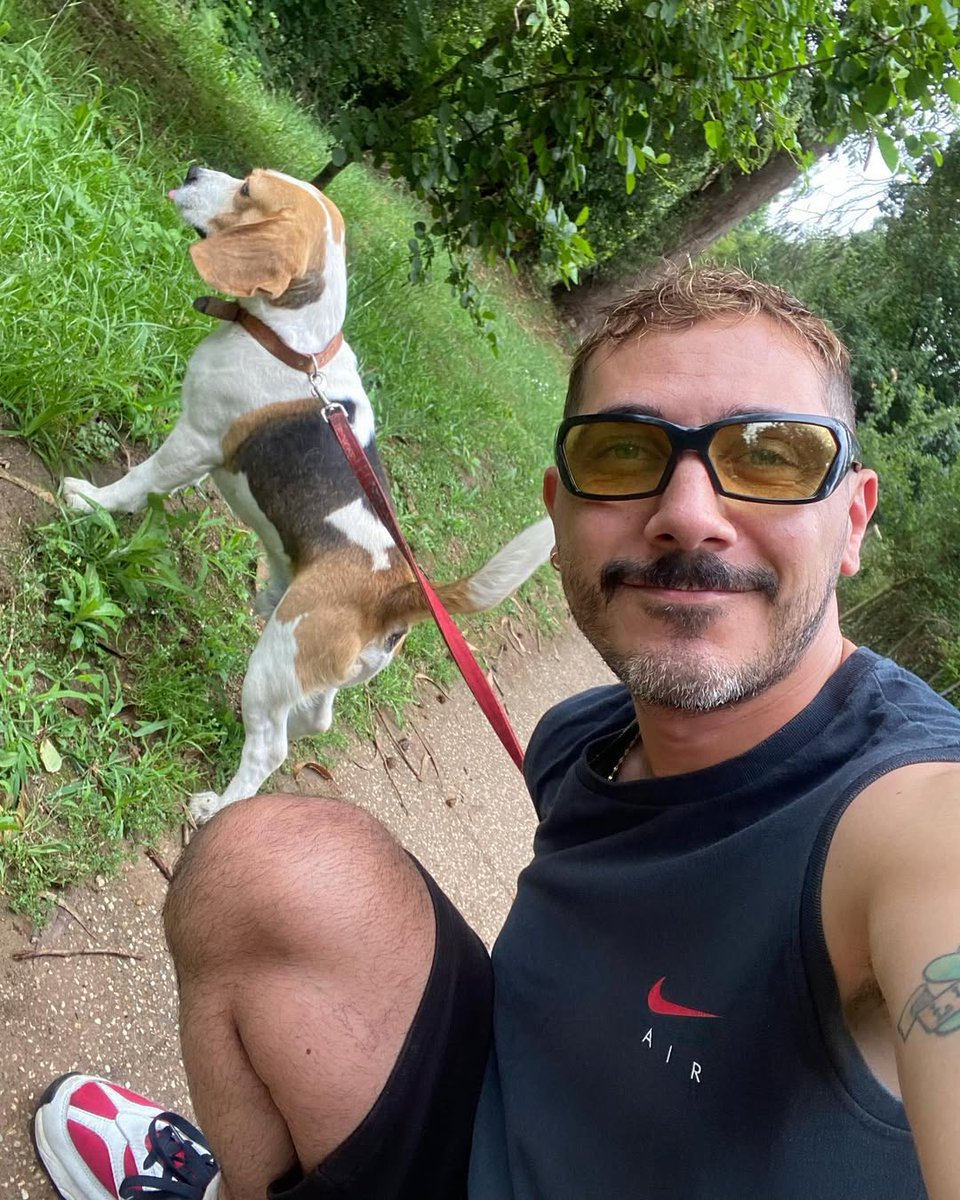 jayjenc's tweet photo. Day 10 — it’s Saturday! Time to relax a little. ☕🐾
So tell me… are you a cat person or a dog person? 😺🐶
#WeekendVibes #PetLovers #SaturdayMood https://t.co/lmAE3BoJZI