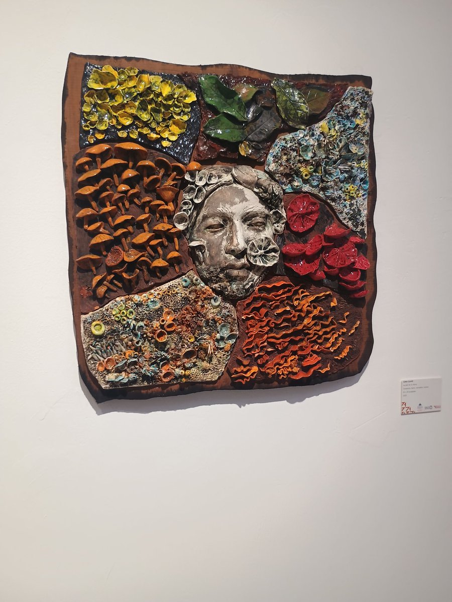francis_n19's tweet photo. "La piel de la tierra" trabajo en cerámica, barro, óxidos, esmalte de la artista Gina Glass.
#museoartemoderno
#filsd2025 https://t.co/4TslggU6oj