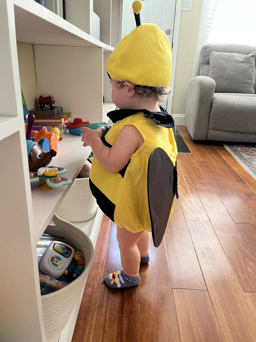 sh0beats's tweet photo. Quesadilla from earlier and purchased his Halloween costume lol https://t.co/1nSoJ83WFi