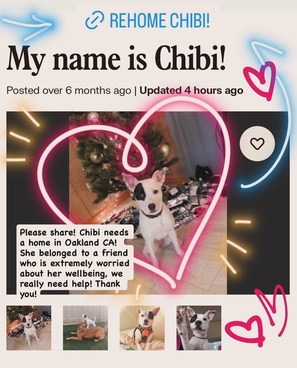 Vabbitty's tweet image. adoptapet.com/pet/44004734-o…
Chibi needs a home in Oakland CA! #adopt #oakland #cali #puppy #fypシ゚ #cute #adoptapet #rehome #chibi #repost #reshare #local #california #ca #dog