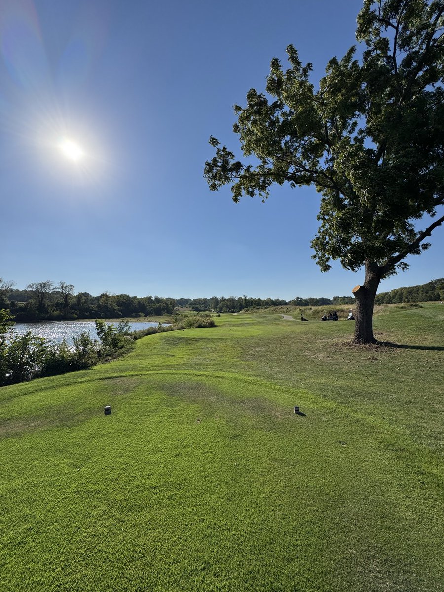 DysonDechant's tweet photo. @JosephLaMagna @BrendanPorath I played Drumm Farm today, and the tree has been trimmed! Record time! https://t.co/6e6K3RmVqy