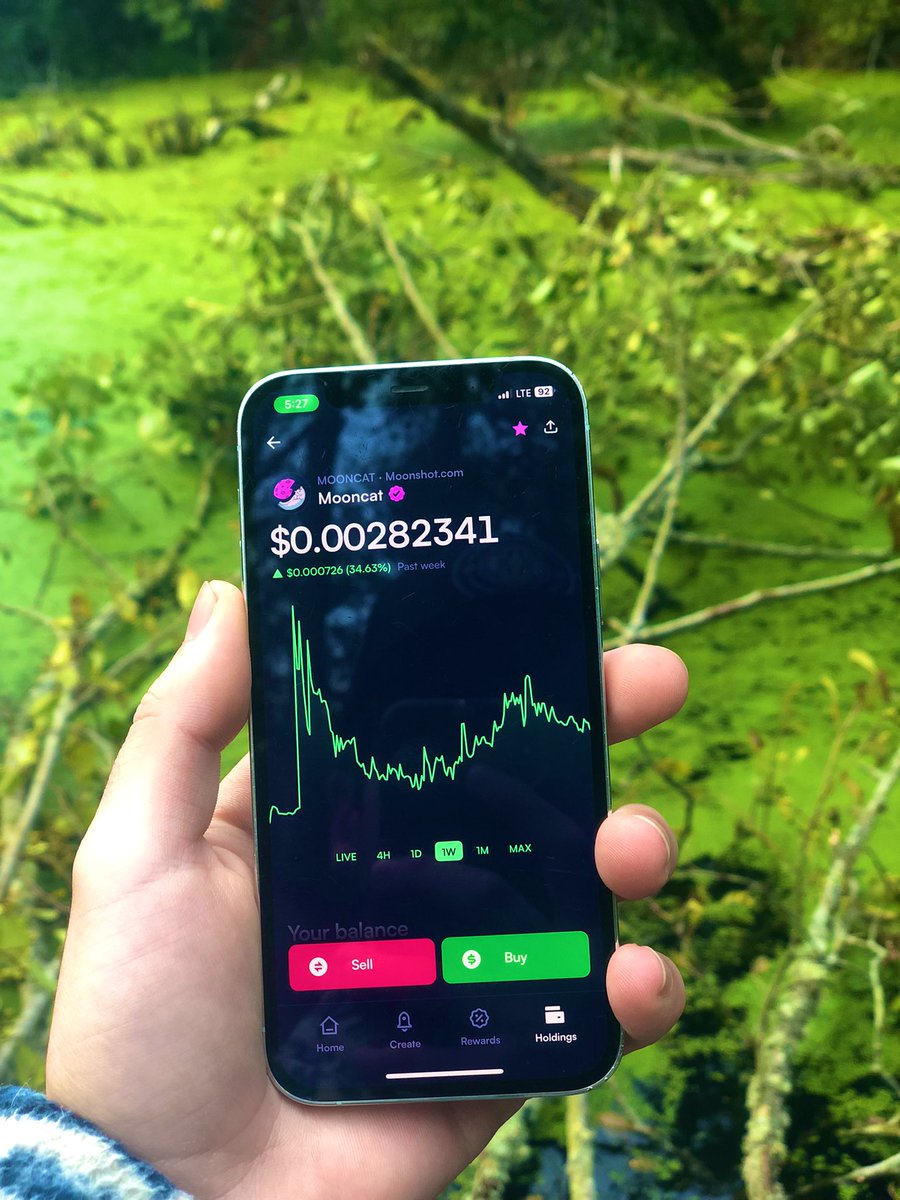 Memecoin_maxiii's tweet photo. Buying the @mooncatonmoon dip on @moonshot while hunting alligators 🐊 in the swamp 🐸🪷 https://t.co/evf9TcHgQW