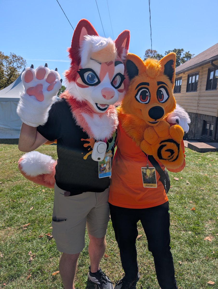 Finally caught me a <a href="/mangofoxy/">MangoFoxy Esq. 🔜ANE</a>!