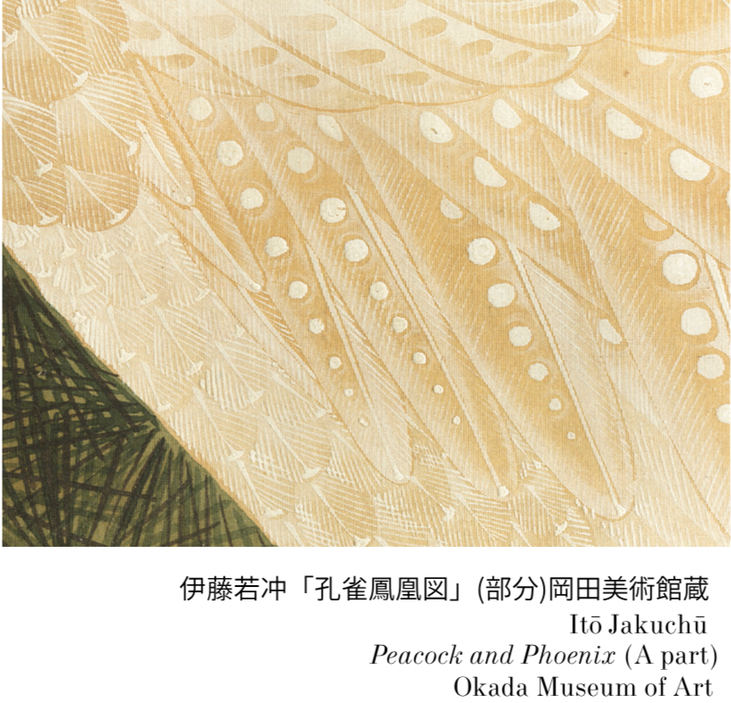 愛と平和の江戸絵画⑪】 作品：伊藤若冲「孔雀鳳凰図」 向かって右に白