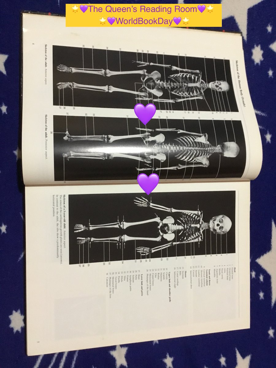 DrML350PhD's tweet image. 🌟“It is a truth universally acknowledged that books make life better.”
🌟The Queen’s Reading Room
🌟📖COLOR ATLAS OF ANATOMY
🌟#WorldBookDay 2025
🌟#worldbookday2025
🌟2/2
Hung-Ming (H.M.) Lin 🐉, PhD