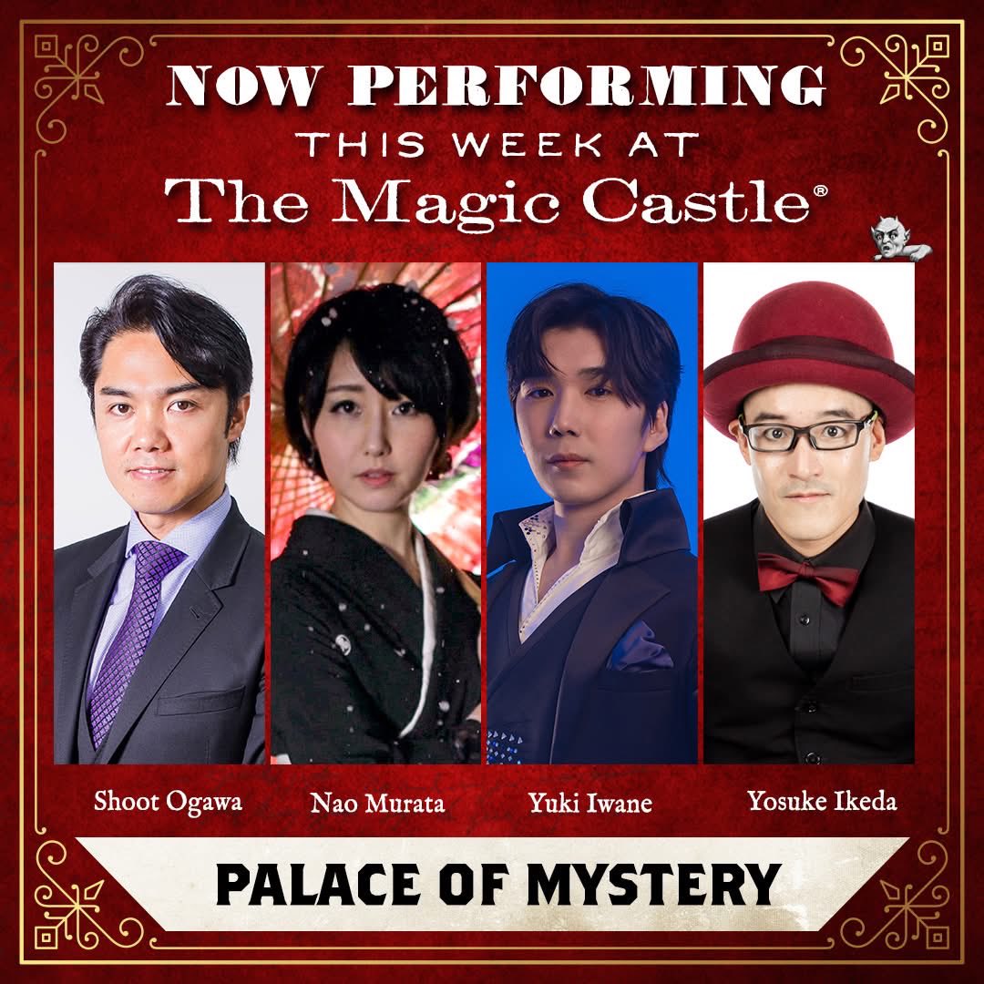 hine527's tweet photo. 本日も素晴らしいshowが
毎回行われています🙋‍♀️

#magiccastle 
#shootogawa
#izuma
#池田洋介
#岩根佑樹 https://t.co/EGakfwBIyu