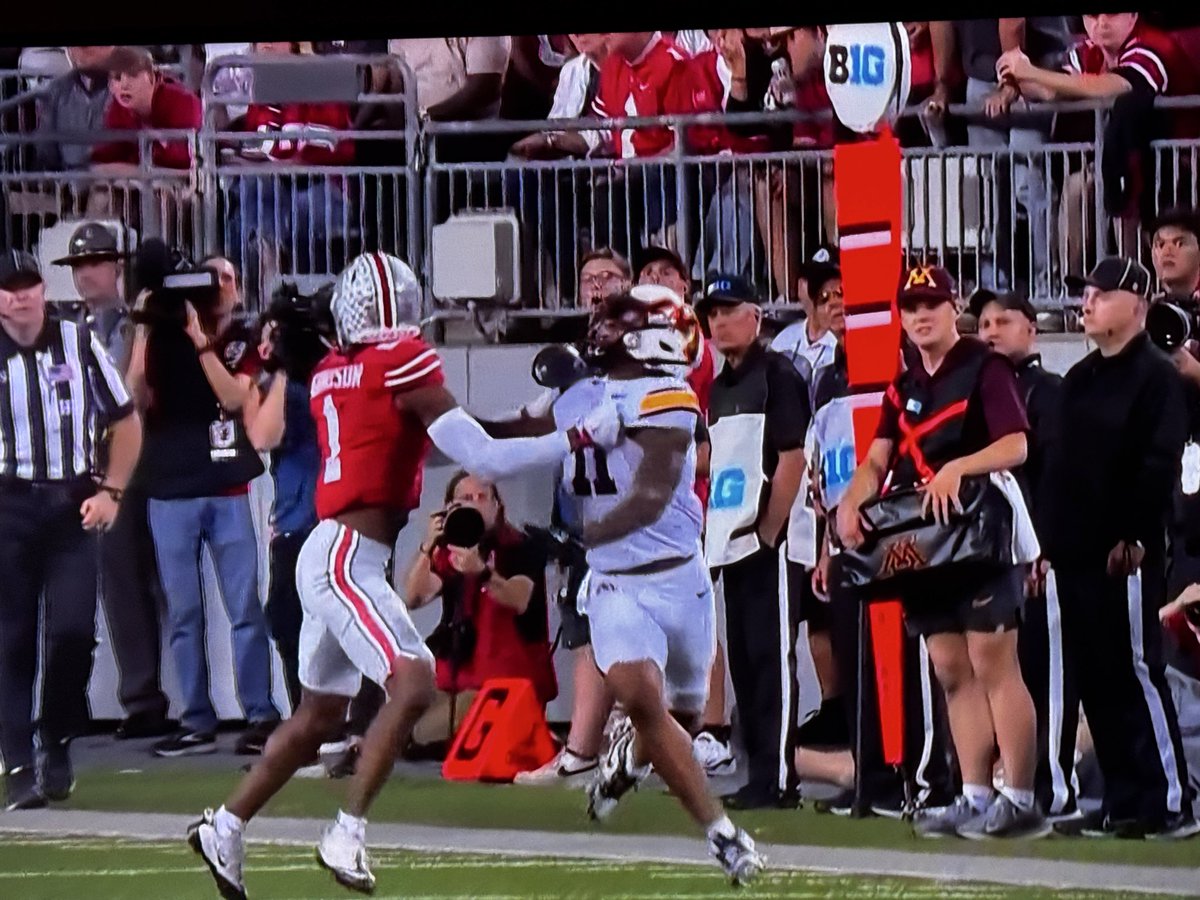 GopherHole's tweet photo. Hey Siri: Show me a picture of defensive pass interference. https://t.co/U6f73a1Ma2