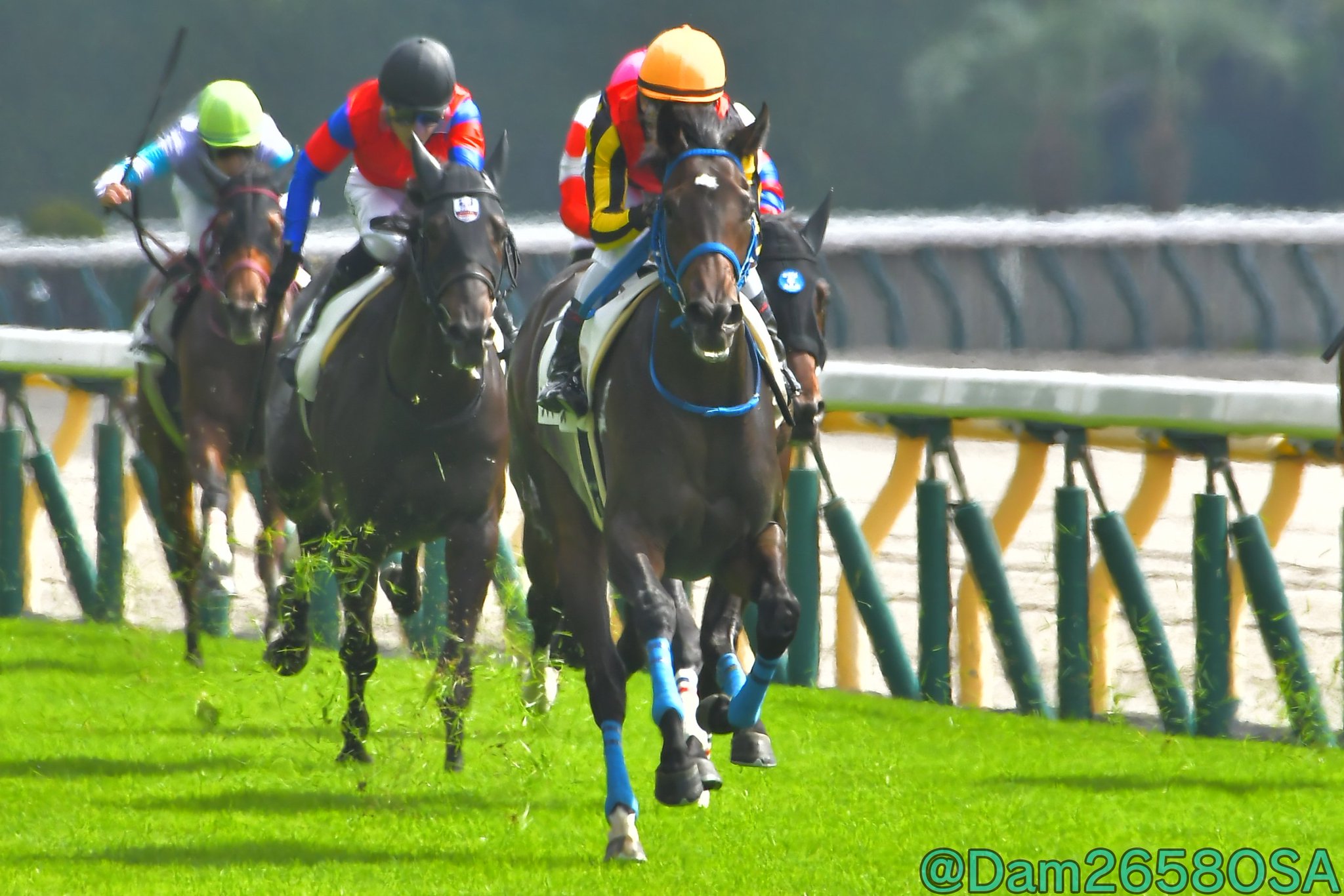 【期限切れ単複馬券】　2歳未勝利　2014/11/8 ドゥラメンテ　ウマ娘 DameMame -だめまめ- on X: 