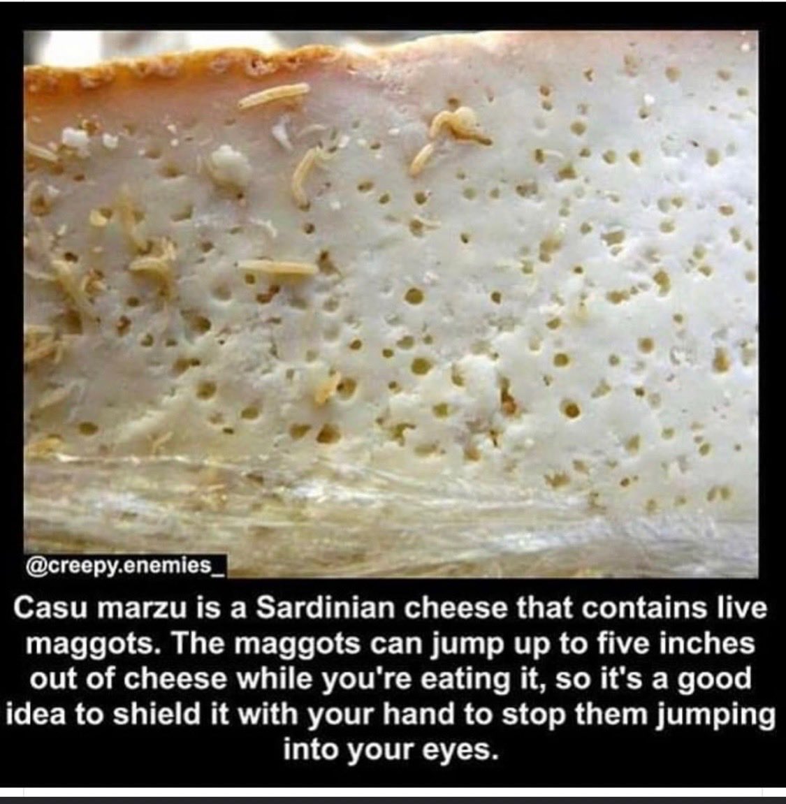 V (@lonesomecedar) on Twitter photo 