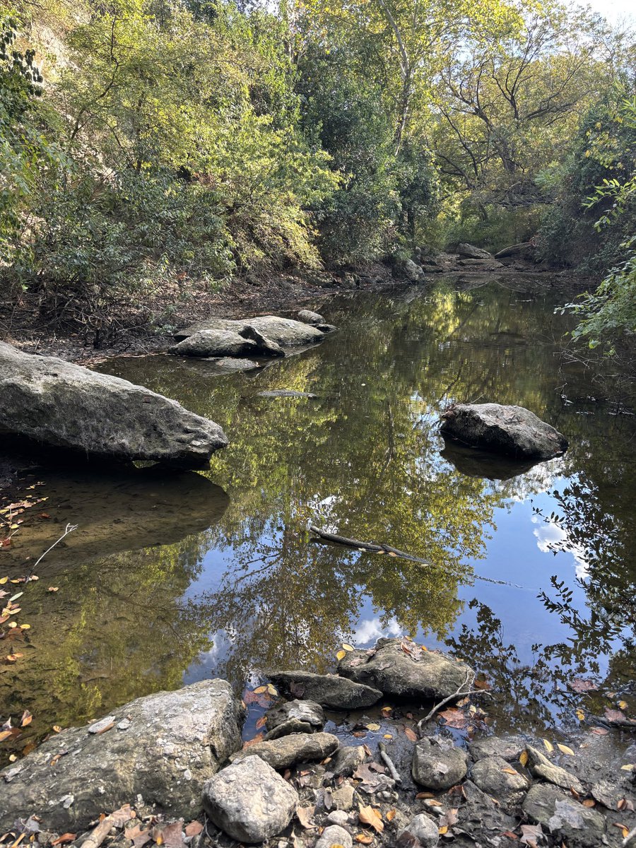 zapharatu's tweet photo. Today I walked about 2 miles to Slaughter Creek in South Austin and then baked some garlic pesto salmon. https://t.co/brAl0Ai1Ip