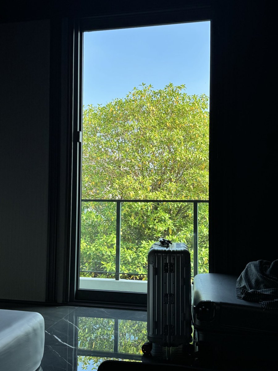 JoeCThia's tweet photo. my everyday wake-up view
ほんとうに いいね！☺️☺️ https://t.co/2TEjsrVhZX