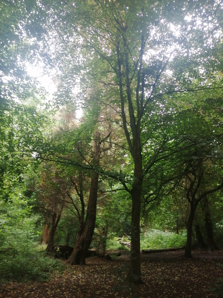 I'm happy being celibate, I've never been someone that has chases anyone in a relationship, I want to keep my energy, high and light,