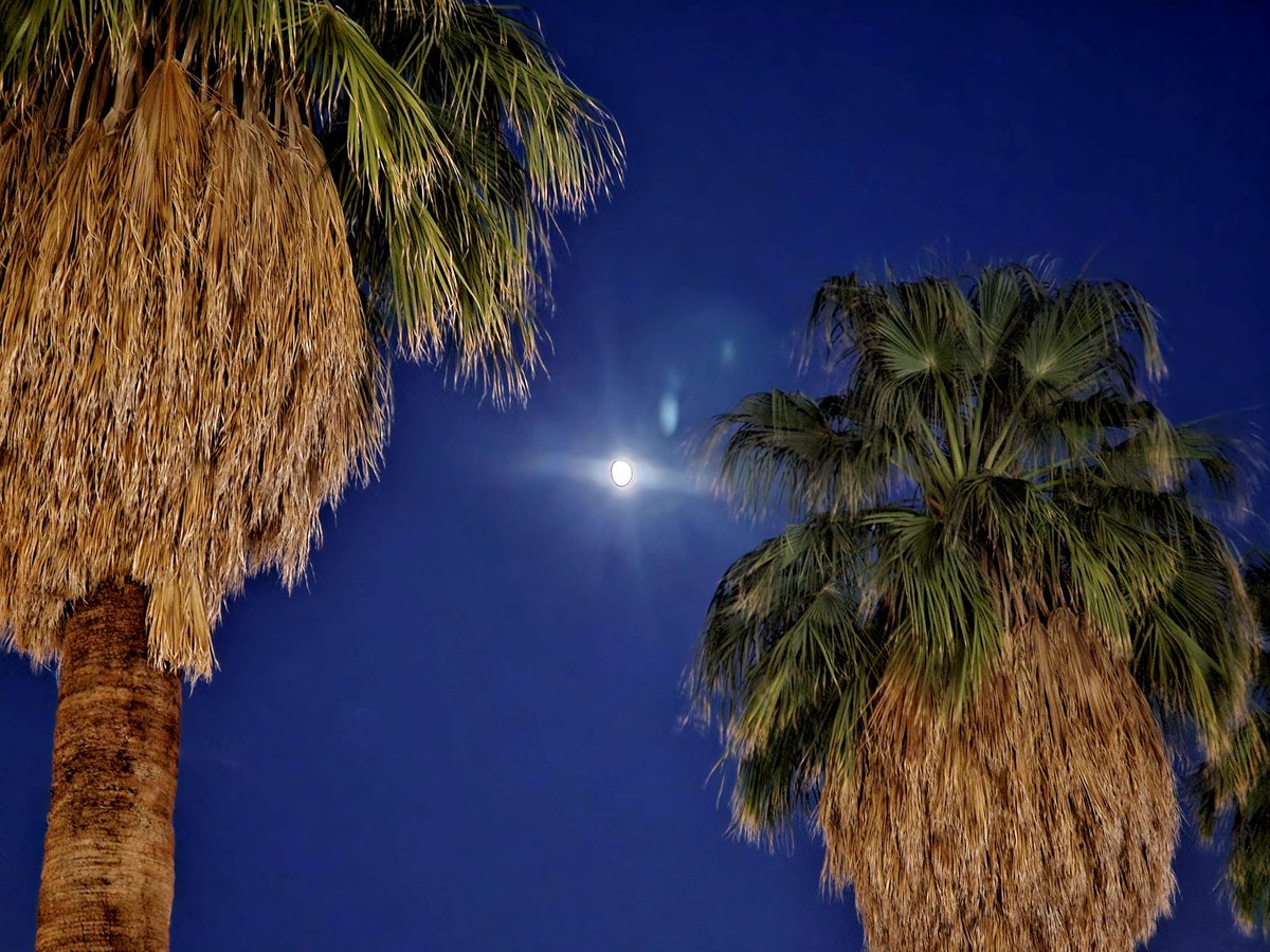 A California sky never disappoints me. 🙂 💖