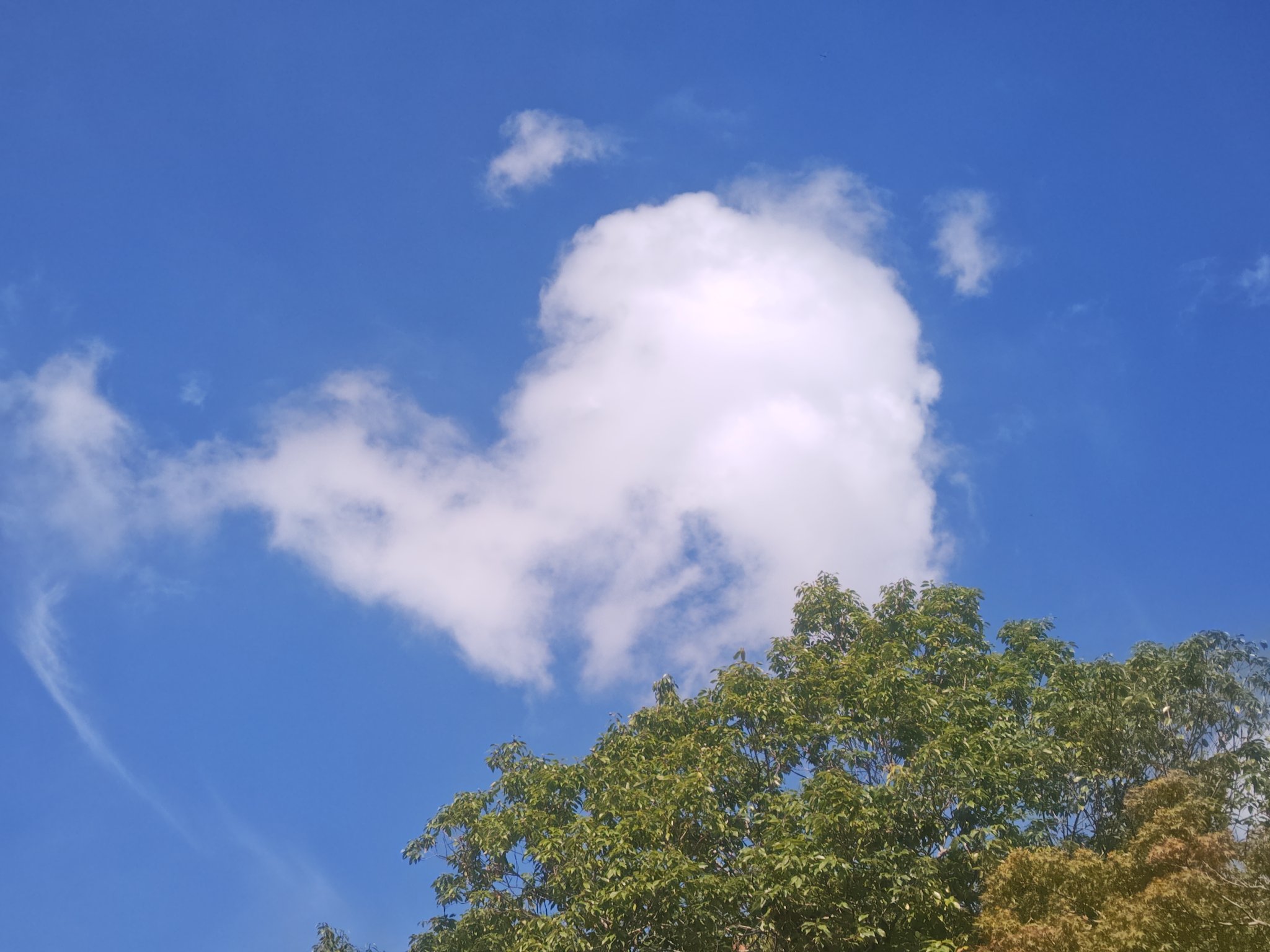 ハートの雲 シンガポール航空ショーで披露されたハート型の飛…：さまざまな