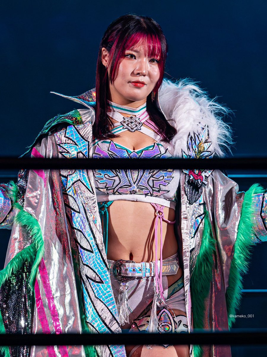 スターダム壮麗亜美選手　記念フォトフレーム スターダム壮麗亜美選手 記念フォトフレーム スターダム壮麗亜美