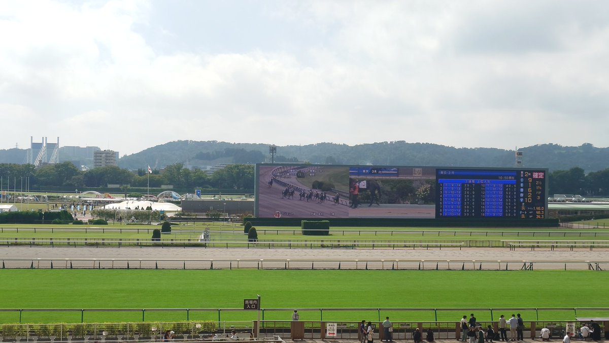 超久々、東京競馬場