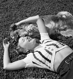 Suzanne08253534's tweet photo. Barbara Stanwyck with her dog. Photographed by John Florea, 1942 https://t.co/2tZ6shTGok