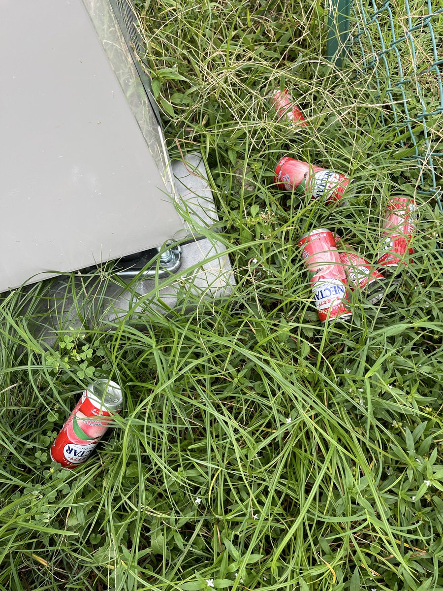 ネクターのピーチを6人で飲んだのか、1人で6本飲んだのか。いずれにしても物語がある。