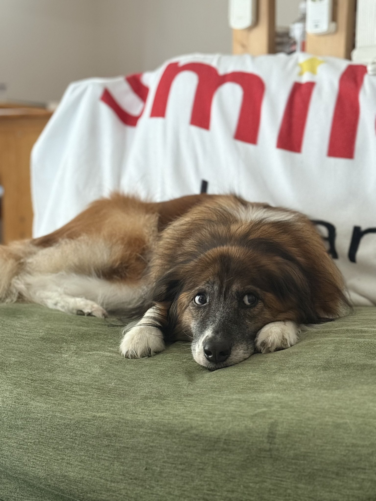 ななみ様 おまとめ購入専用ページ⭐ 一日一あみな - البحث / X