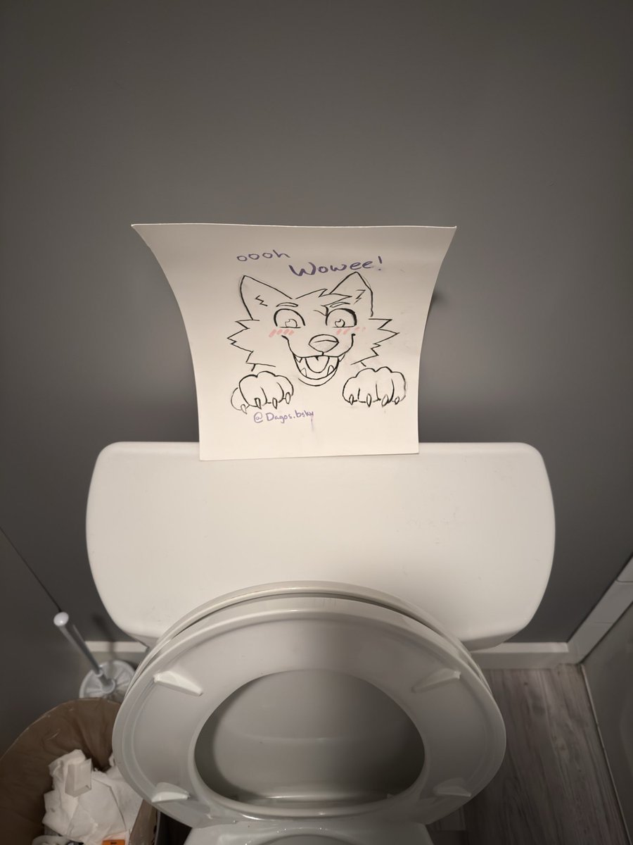 plastick 📸🦊 (@plastickfox) on Twitter photo 