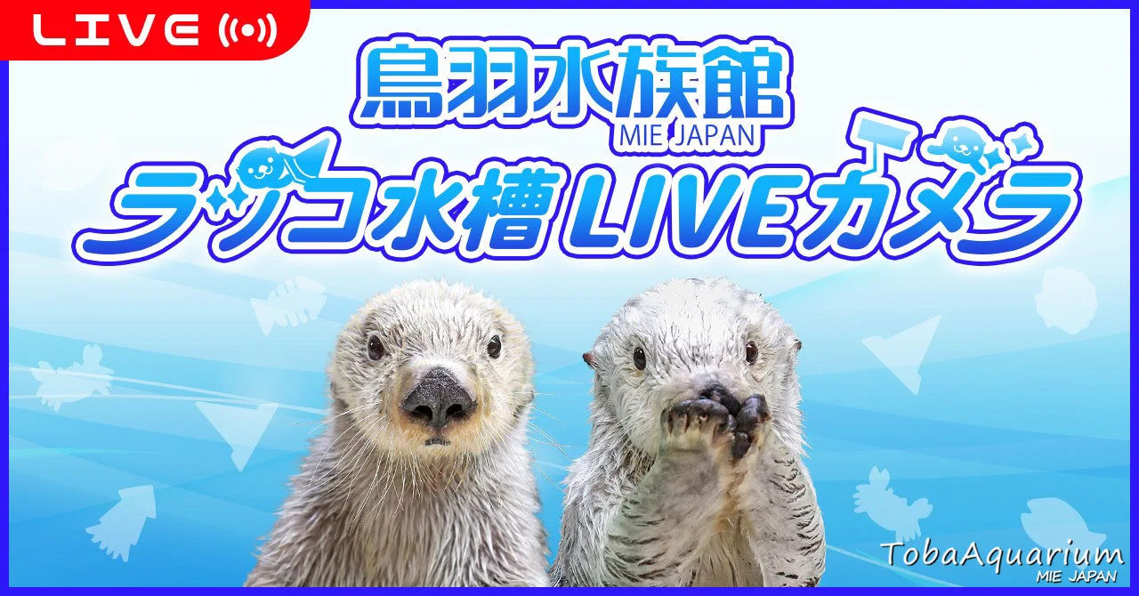 鳥羽水族館（TOBA AQUARIUM） on X: 