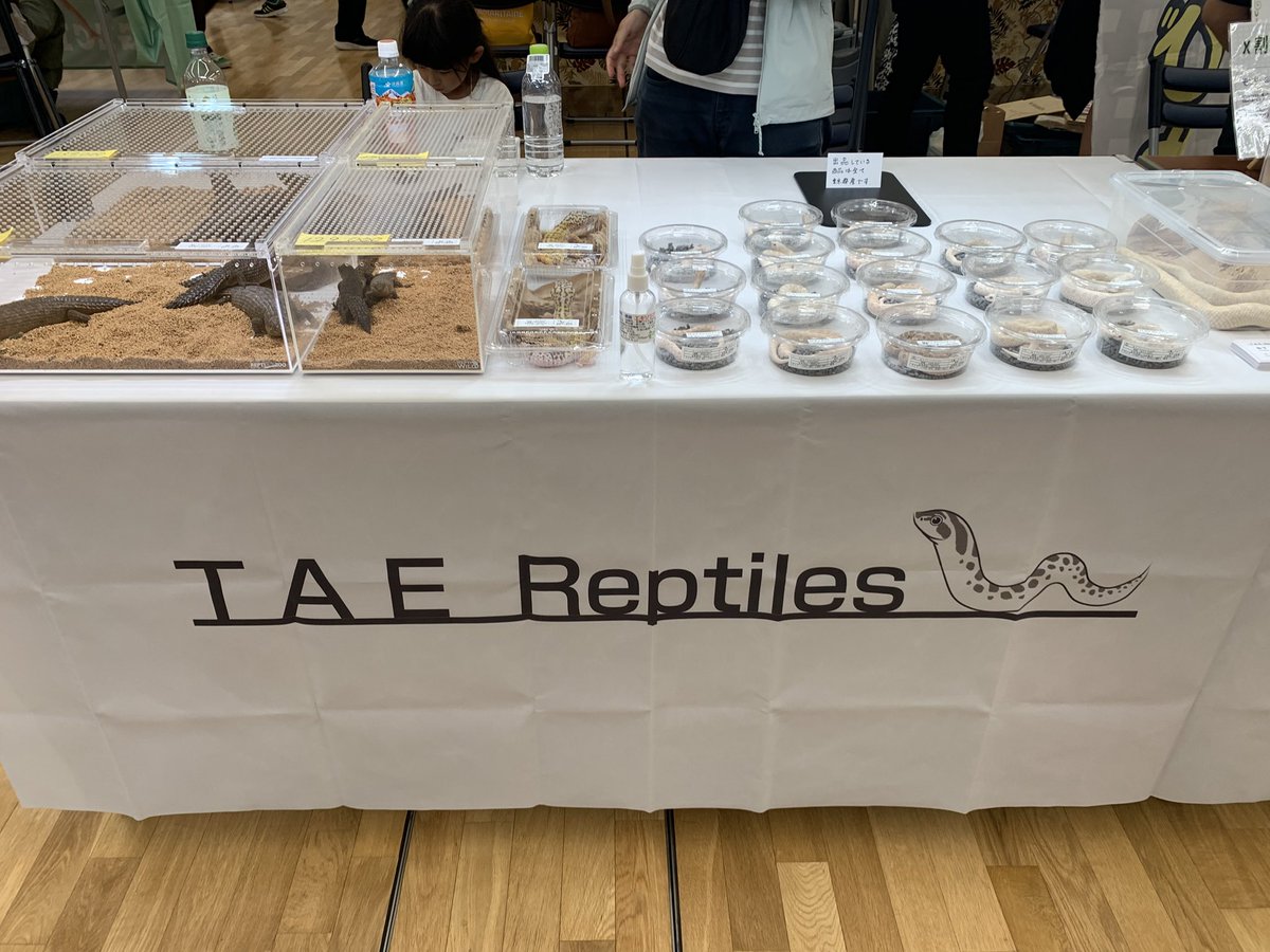 TaeReptiles's tweet photo. とんぶり出店してます。 https://t.co/ja5C8WWBVW