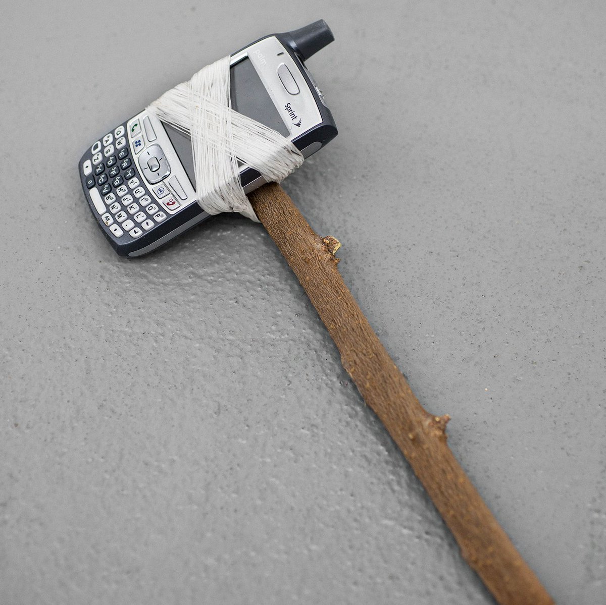 rare_jpg's tweet image. 